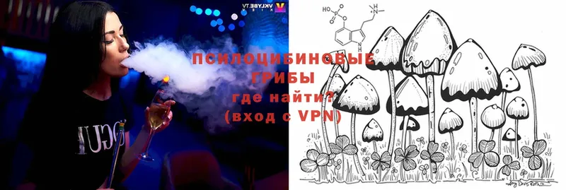 как найти закладки  Краснознаменск  Псилоцибиновые грибы Magic Shrooms 